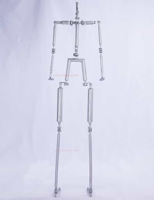 D750 back view skeleton